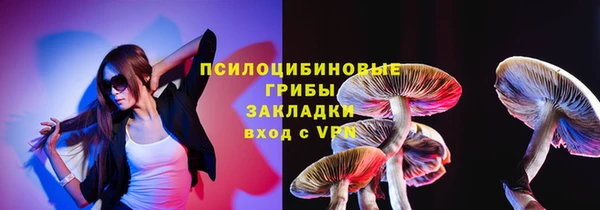 ешки Осинники